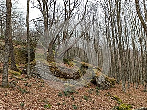 Magical place of giant stones and narrow passages in the mountain photo