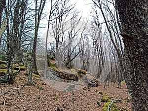 Magical place of giant stones and narrow passages in the mountain photo