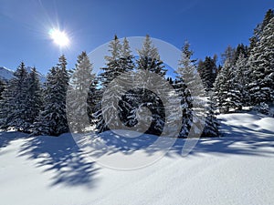 A magical play of sunlight and shadow during the alpine winter on the snowy slopes above the mountine Swiss tourist