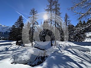 A magical play of sunlight and shadow during the alpine winter on the snowy slopes above the mountine Swiss tourist