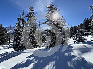 A magical play of sunlight and shadow during the alpine winter on the snowy slopes above the mountine Swiss tourist