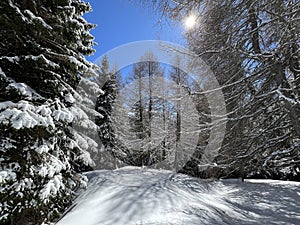 A magical play of sunlight and shadow during the alpine winter on the snowy slopes above the mountine Swiss tourist