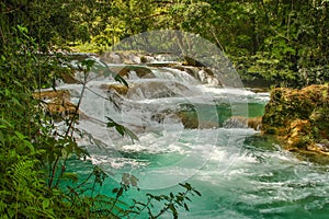 Magical pure cascade waterfall of Agua Azul in Mexico