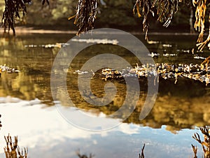 Magical River Fal  light photo