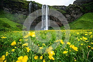 Magical Seljalandsfoss Waterfall in Iceland