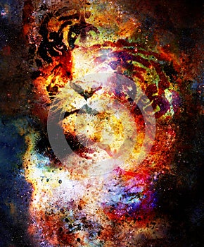 Magical space tiger and ornament, multicolor computer graphic collage.