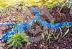 Magical Spring garden with blue mulch