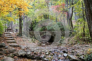 Magical structure in the fall