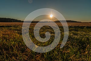 Summer evening landscape. Agricultural field is beautifully illuminated by the setting sun