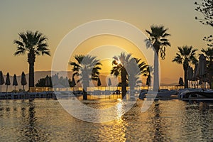 Magical sunrise with silhouette coconut palm tree and swimming pool in luxury hotel resort near sea. Beautiful morning seascape