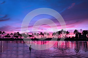 Magical sunset in purple atmosphere, Hawaii