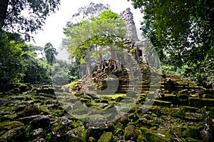 Magical Temple in Cambodia