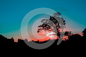 Magical tropical sunset. Tree silhouette on romantic African savannah vacation landscape.