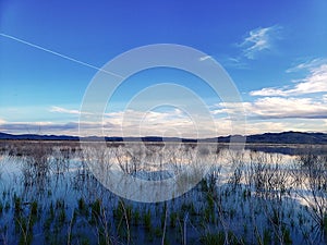 Magical watery desert