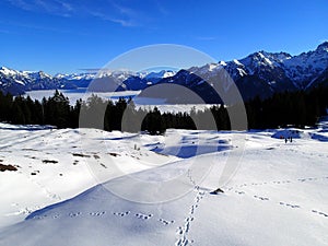 Magical winter landscape with fog inversion weatheres in the Alps - Vorarlberg Austria Europe