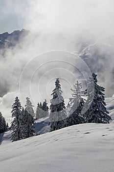 Magical winter landscape with rising fog and the sun against the light in central Switzerland