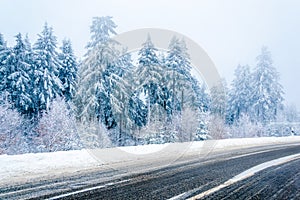 Magical winter landscape: road and snow covered trees