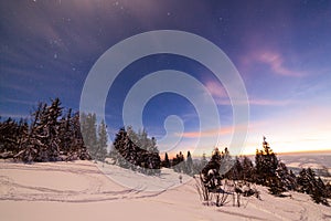 Magical winter landscape with snow covered tree. Vibrant night sky with stars and nebula and galaxy. Deep sky astrophoto