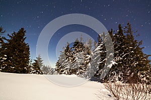 Magical winter landscape with snow covered tree. Vibrant night sky with stars and nebula and galaxy. Deep sky astrophoto