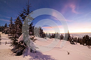 Magical winter landscape with snow covered tree. Vibrant night sky with stars and nebula and galaxy. Deep sky astrophoto