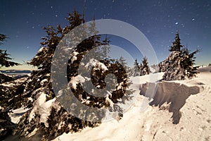 Magical winter landscape with snow covered tree. Vibrant night sky with stars and nebula and galaxy. Deep sky astrophoto