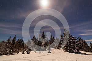 Magical winter landscape with snow covered tree. Vibrant night sky with stars and nebula and galaxy. Deep sky astrophoto