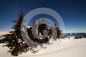 Magical winter landscape with snow covered tree. Vibrant night sky with stars and nebula and galaxy. Deep sky astrophoto