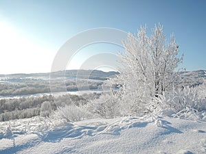  . la Valle foresta illuminato secondo chiaro il sole 