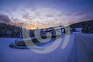 Magical winter scenery with frozen trees covered with white snow.