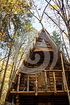 Magical wooden fairytale house in the middle of the forest during colourful and sunny autumn day