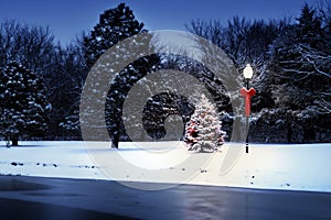 Magically Lit Tree Glows Brightly on Snow Covered Christmas morning