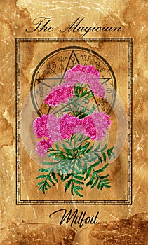 The Magician. Major Arcana tarot card with Milfoil and magic seal photo