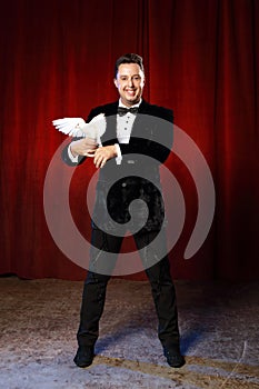 Magician portrait with dove in circus