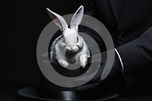 Magician pulling rabbit from black hat close-up