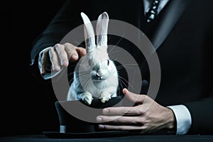 Magician pulling rabbit from black hat close-up