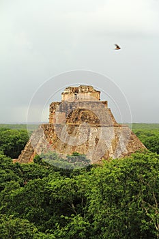 Mayan pyramids in Uxmal near merida yucatan mexico III