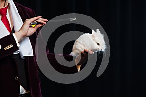 Magician with rabbit, Juggler man, Funny person, Black magic, Illusion on a black background