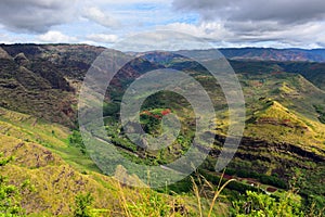 Magificent Waimea Canyon