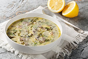 Magiritsa Greek Easter soup with lamb intestines and liver, herbs, seasoned with egg and lemon sauce close-up in a bowl.