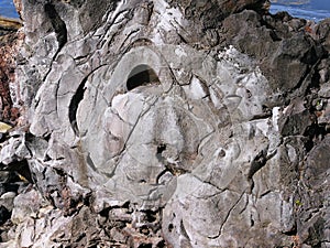 Magmatic and basalt rock in Azores photo