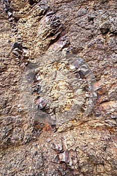 Magmatic Dike, Caldera de Taburiente National Park, Canary Islands, Spain