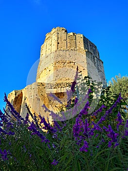 Magna Tower of Nîmes - Roman Monument