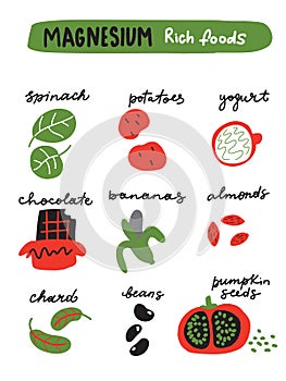 Magnesium foods. Vector illustration of different foods full of magnesium.
