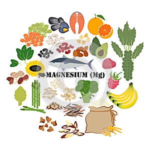 Magnesium Mg mineral healthy organic nutrition vector illustration