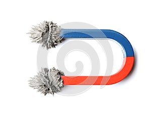 Magnet with iron powder on white background