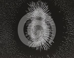 Magnetic field of a cow magnet