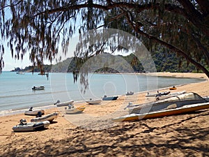 Boats resting on a pretty sandy beach looking through trees on an island