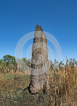 Top end Magnetic termite mound vertical photo