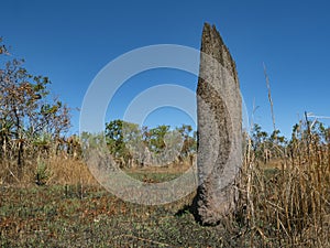 Top End Magnetic termite mound with copy space photo