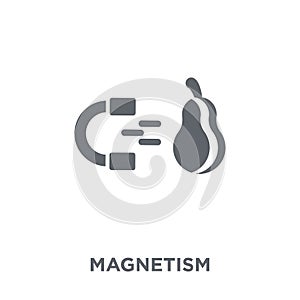 Magnetism icon from collection.